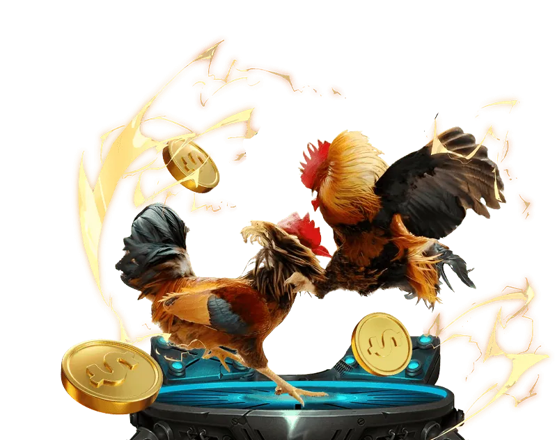 Kèo Meron Đá Gà 88open đăng nhập